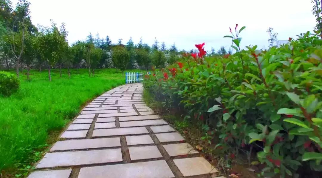 最新！这座城市将发生翻天覆地的变化，身价暴涨