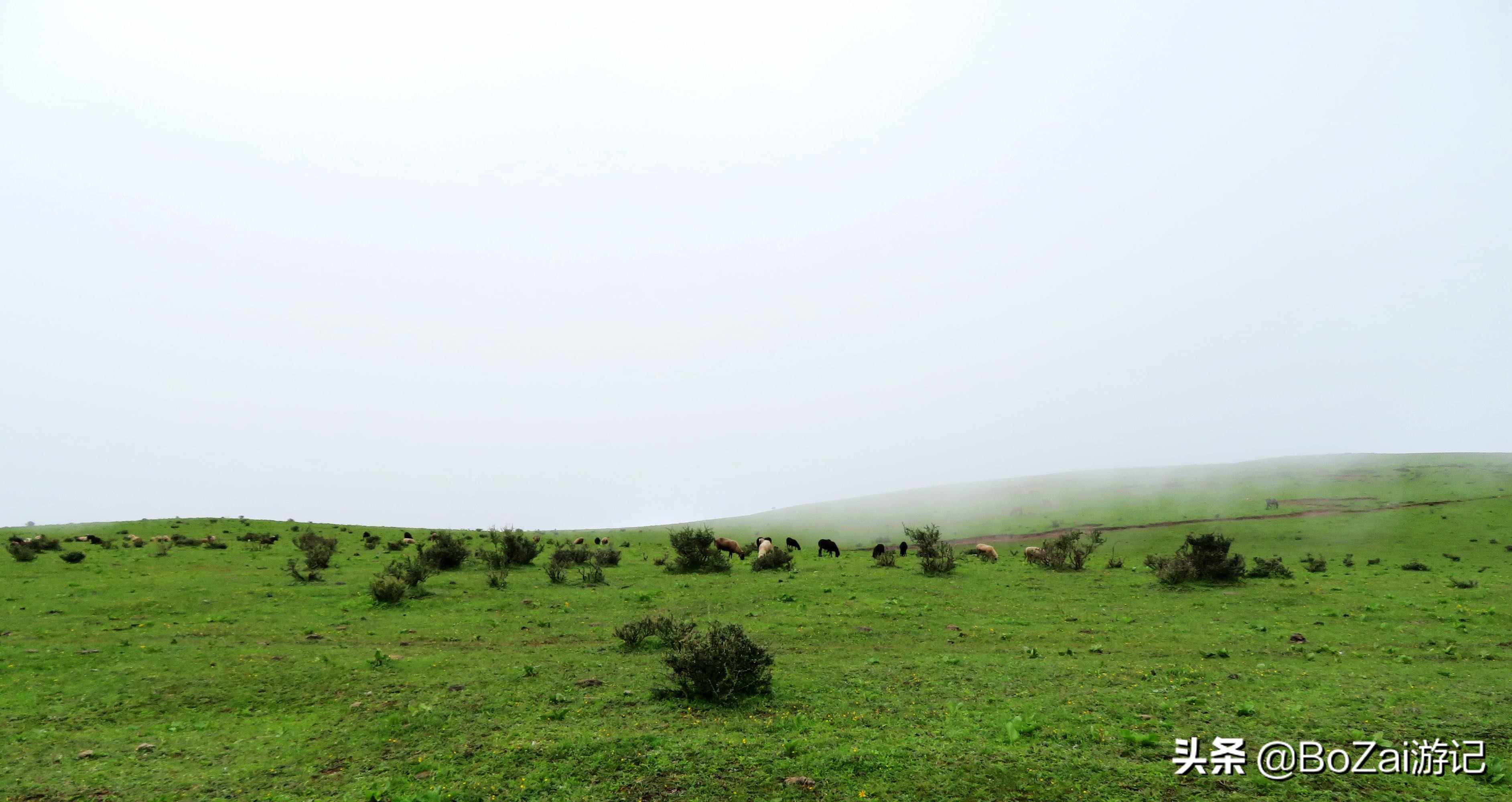 去云南丽江必游景点攻略,去云南丽江旅游必去景点