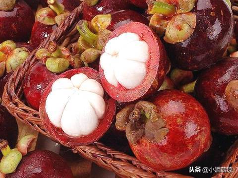 山竹酿酒配方大全,山竹酿酒怎么进去的