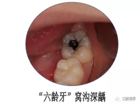 妈妈们暑假应该做什么,妈妈暑假也要让孩子学习