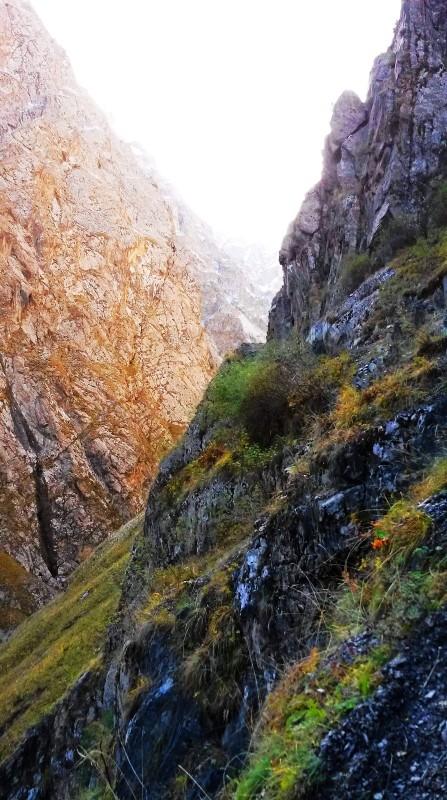 带上UL从狼塔C回家