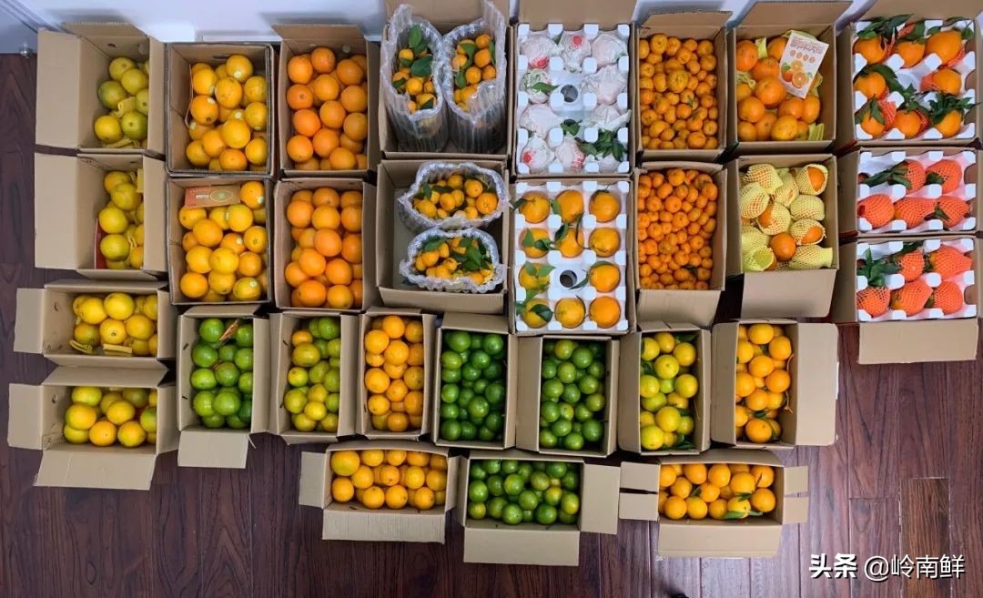 柑橘能吃出菠萝味？带你体验种植匠2020冬季柑橘橙测评