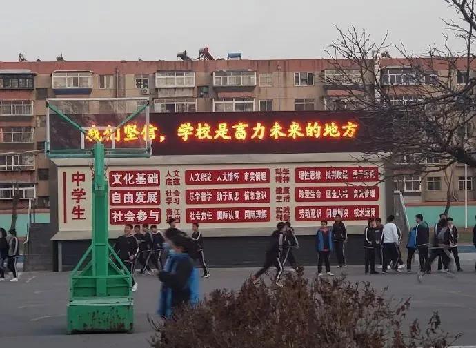 看基金的时间,最近看基金的感觉绿得发光