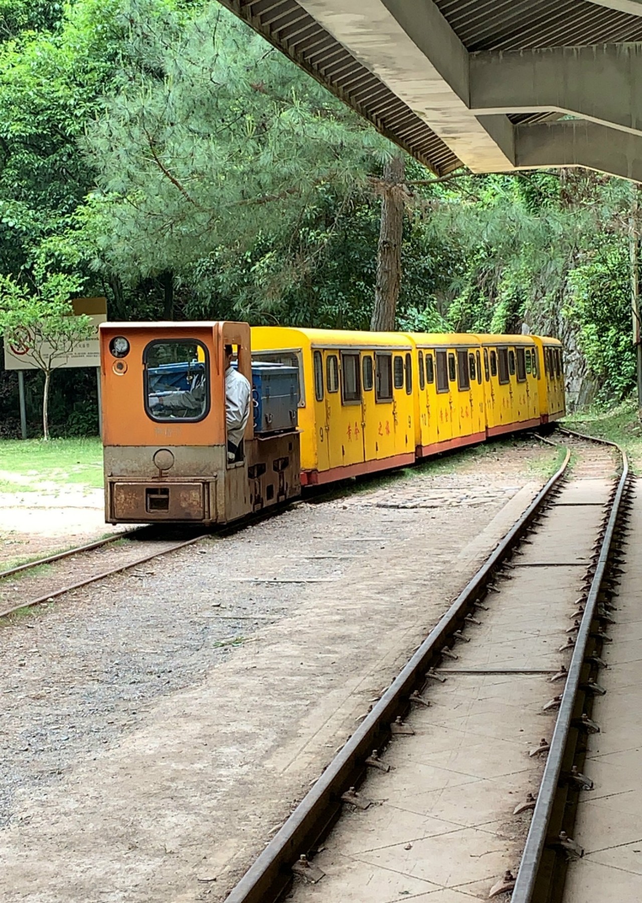 遂昌仙峡湖网红绿道在哪里,遂昌仙峡湖