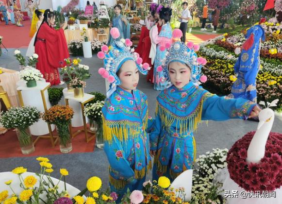 江苏宿迁沭阳县花木大世界,宿迁沭阳的花木之乡