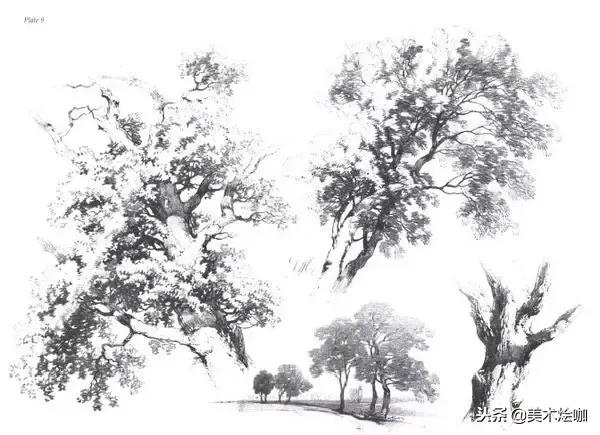 40张经典素描,40张经典素描风景图快拿去临摹吧