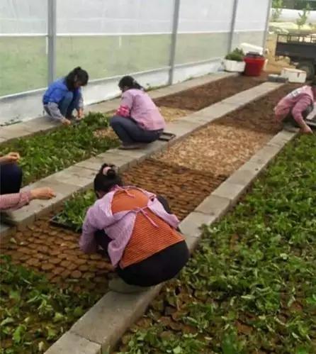 1688年销售额突破千万怎么报税,半年销售额破10亿如何做到的