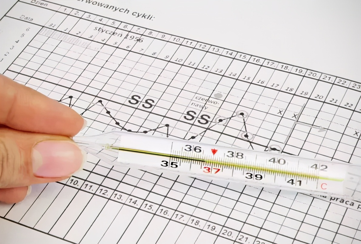 女人一次排卵会排多少个卵子,女人一生能排多少卵细胞