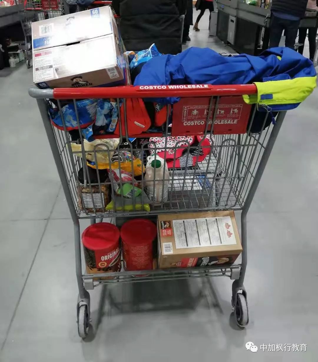 加拿大costco购物攻略视频,costco多伦多推荐