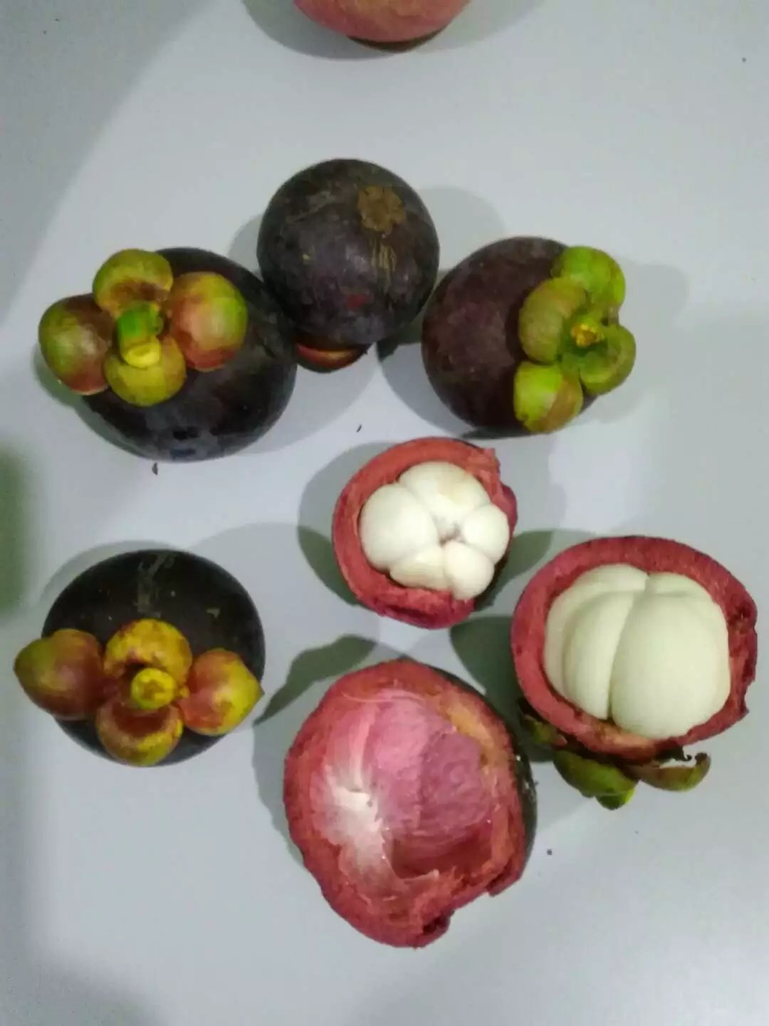 马来西亚旅行必备物品清单,去马来西亚旅游必买的10件