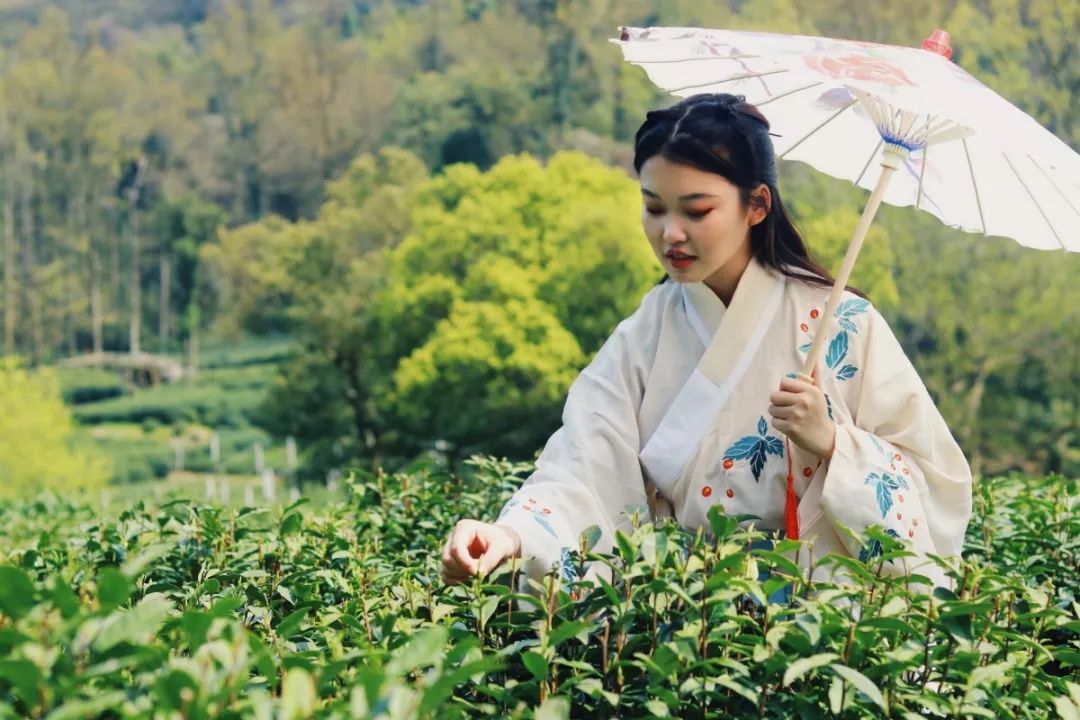 亲测旅游攻略,旅游团游西湖攻略线路地图