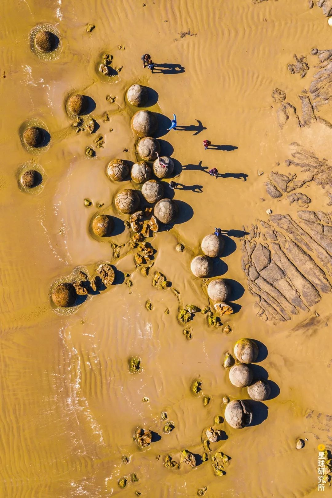 新西兰为什么那么发达,新西兰为什么这么牛