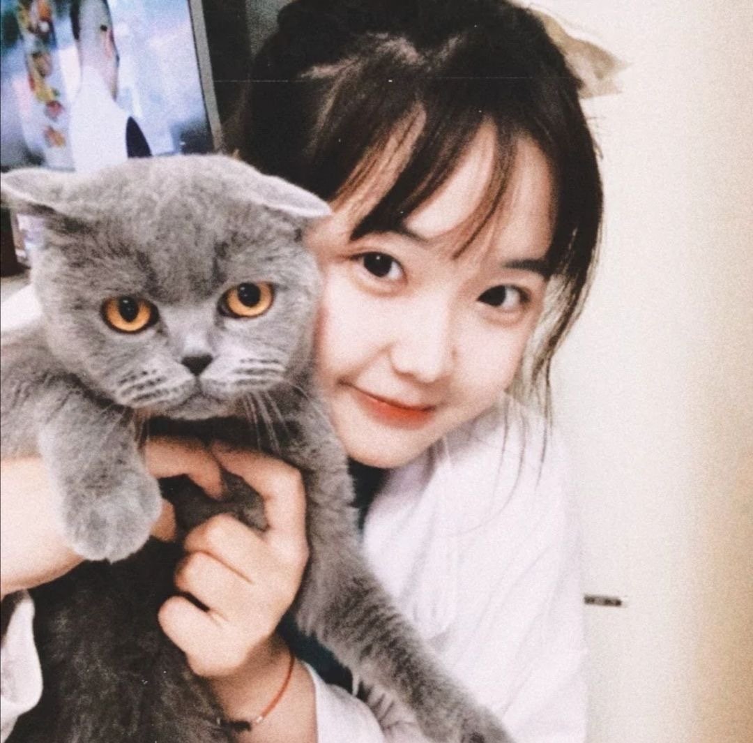 山有木兮木有枝的情话,山有木兮心悦君兮古风