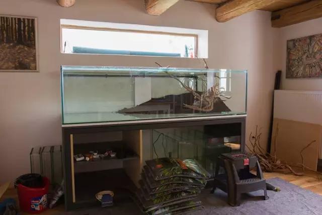 本色水景水草造景培训,本色水景水草培训