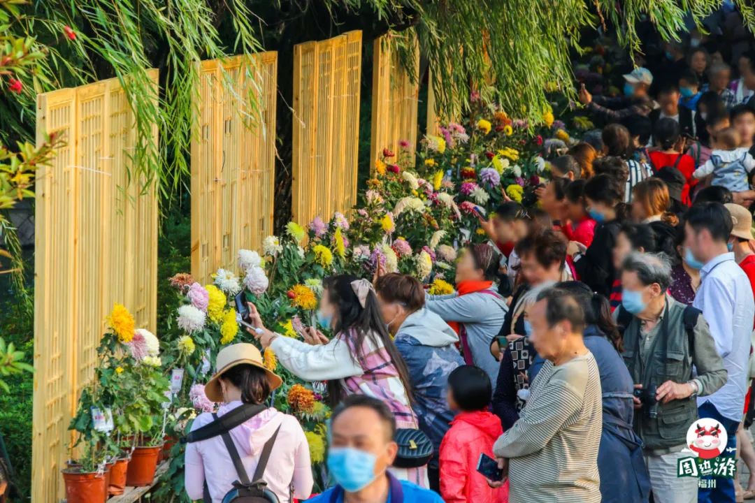 福州菊花展21年还有吗,福州西湖菊花展人山人海