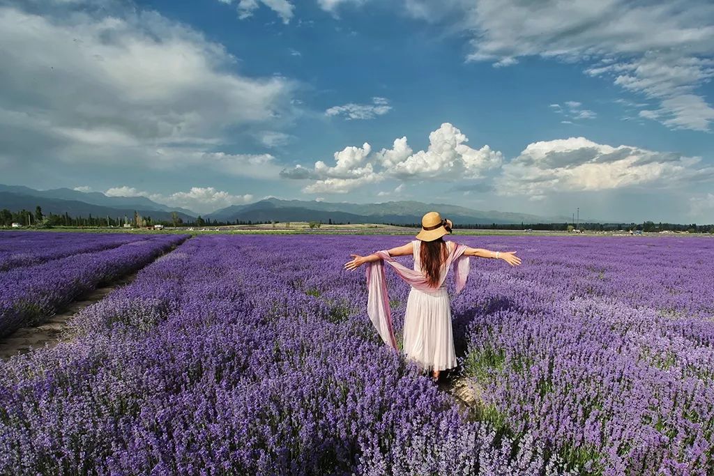 去过18次*疆新**的江南女子，用亲身经历告诉你，*疆新**究竟有多美