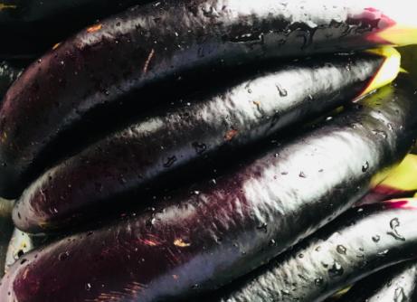 茄子的挑选方法和技巧 (茄子选大的还是小的好)