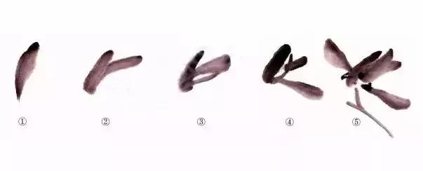 跟徐湛学国画兰草的画法,跟徐湛老师学国画全集兰草画法