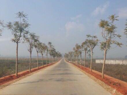 无论怎样道别，想念依然会在彼此心里共生