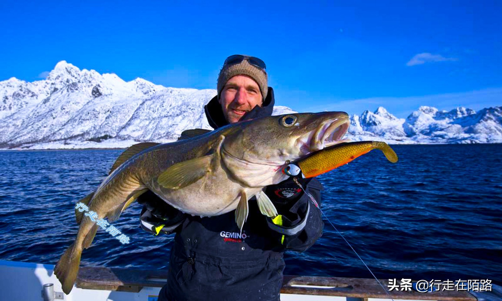 砸锅卖铁省吃俭用供你上大学,砸锅卖铁供你读书这句话对吗