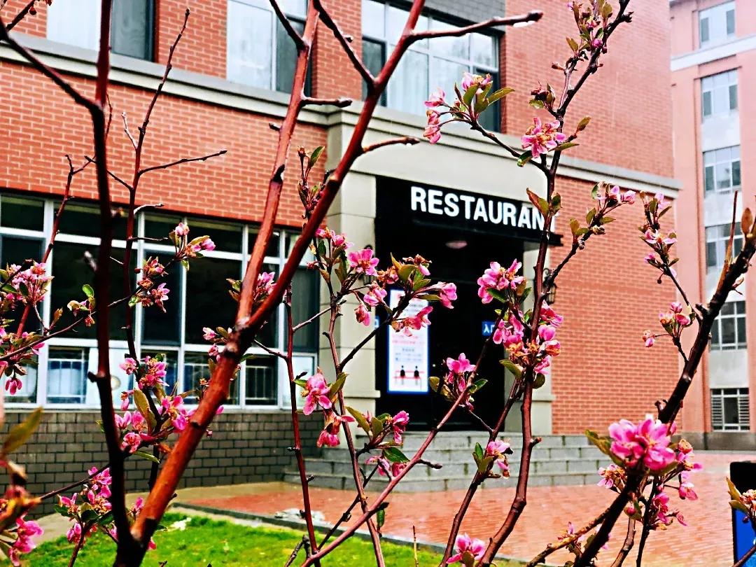 民办学校大连艺术学院全国排名,大连艺术学院辽宁排名