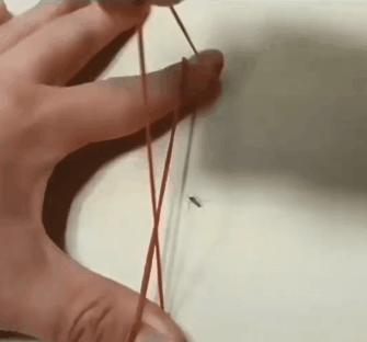 干掉蚊子的100种方法,消灭蚊子的100种方法第24种