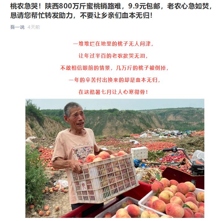 陕西桃子滞销事件,陕西桃子滞销