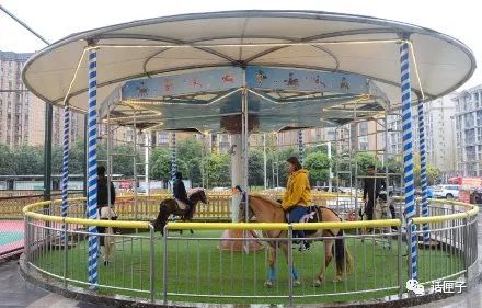 这样的“旋转木马”你一定没见过，网友直呼太残忍……