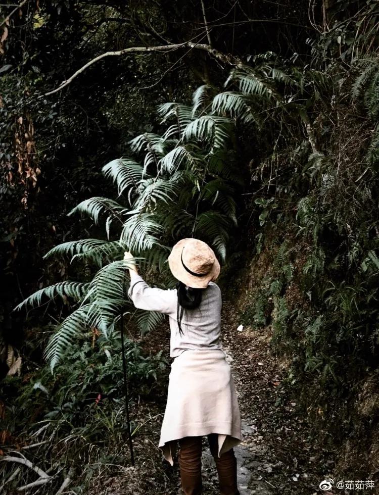 夫妻深山打造500万别墅,90后夫妻隐居山林自建小屋