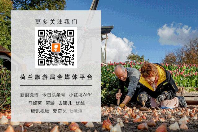 免费旅游的乐游卡,kpn乐游卡