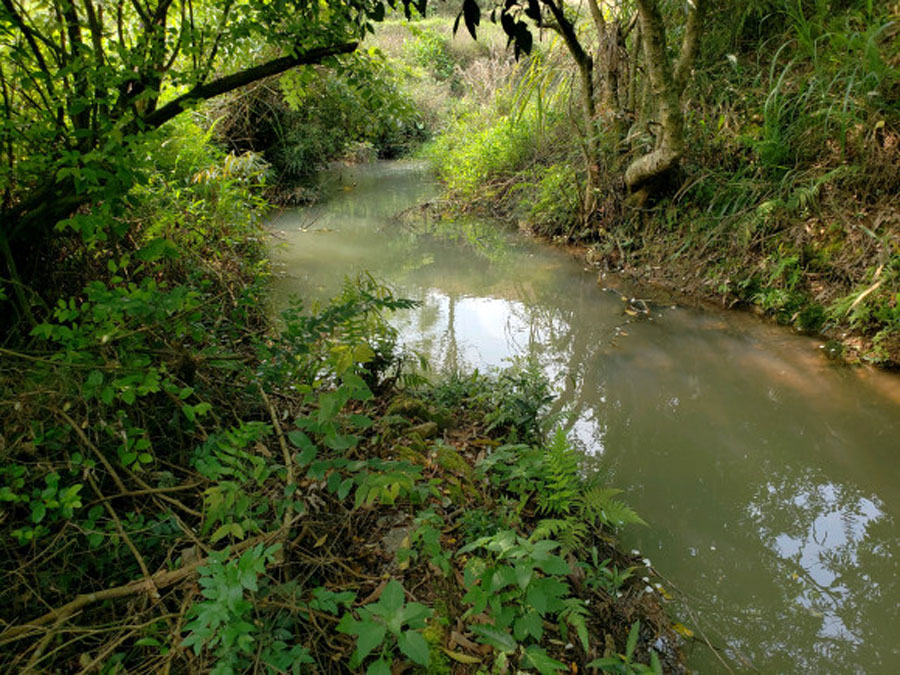 夜钓小河七星漂,夜钓小河沟用路亚
