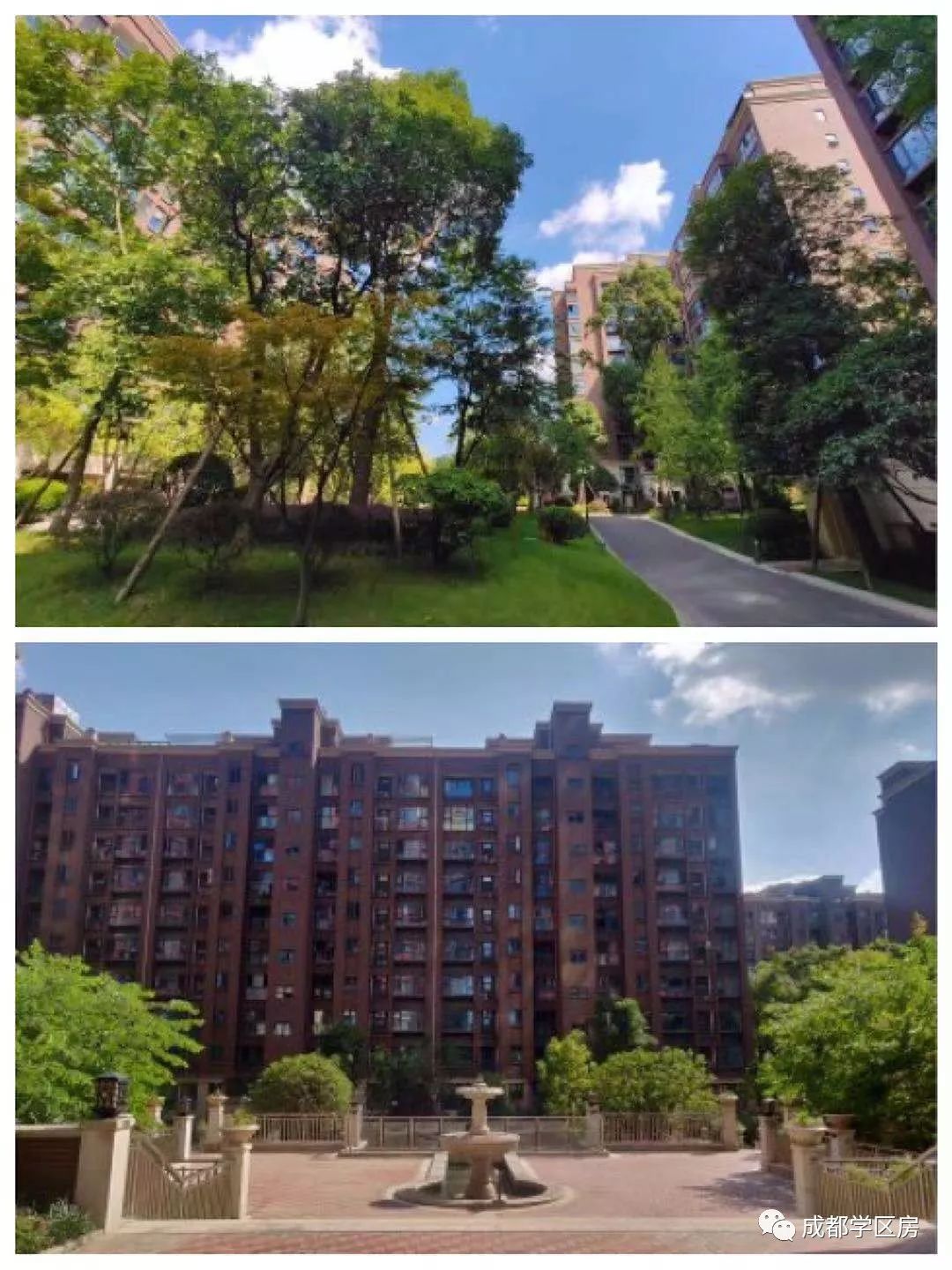 天府新区私立小学招生简章,天府新区第六小学对应初中