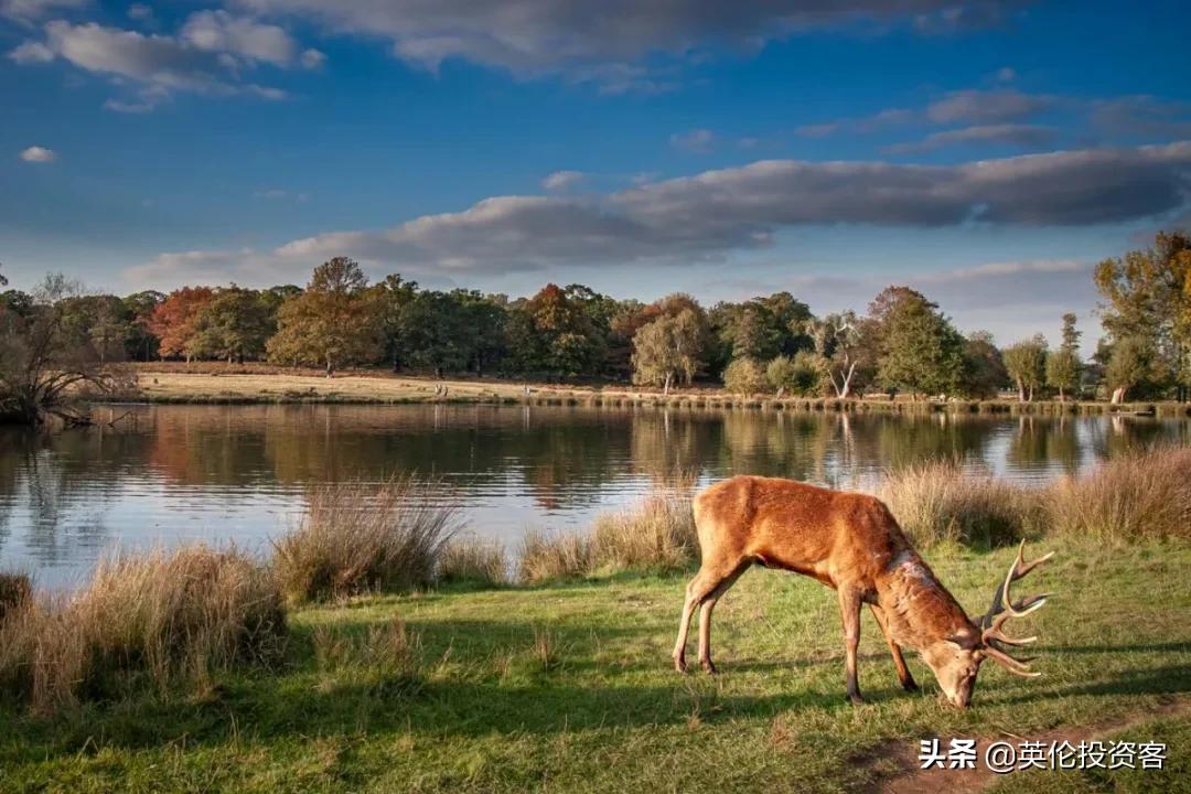 在女王家门口圈地，伦敦隐形地主曝光
