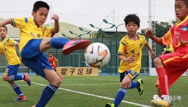 青少年体育训练需要注意事项,青少年体育运动与锻炼