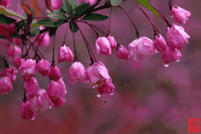 女孩用香烟名称写情书太有才了,女孩用香烟写的情书