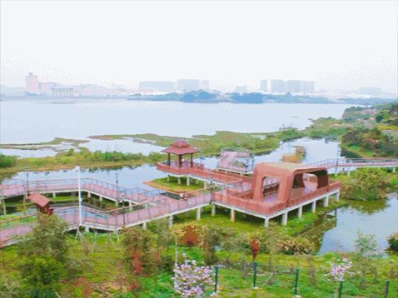 深圳十佳免费湿地公园,深圳十大免费公园排行榜最新名单