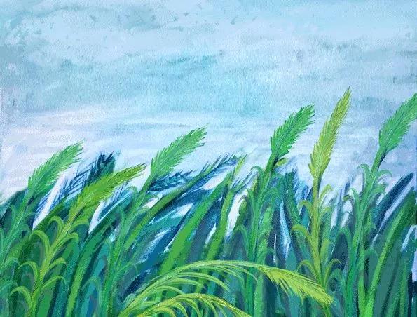 柬埔寨市场投资分析,柬埔寨金边投资价值