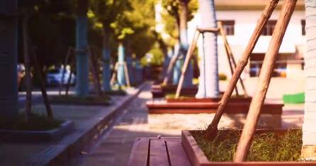 建平中学张江校区排名,浦东高中四大名校