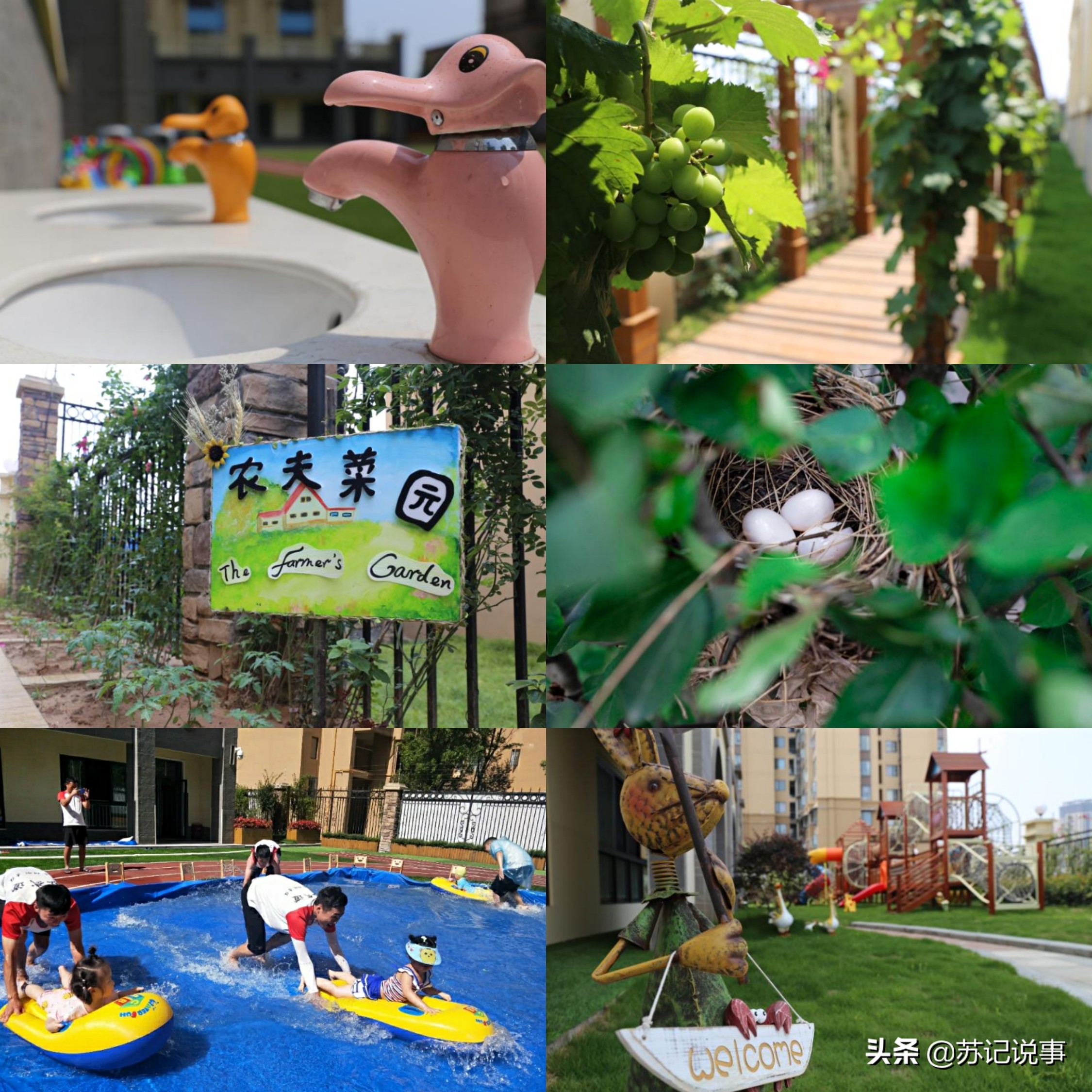 远看像童话里的城堡,其实是个高端幼儿园