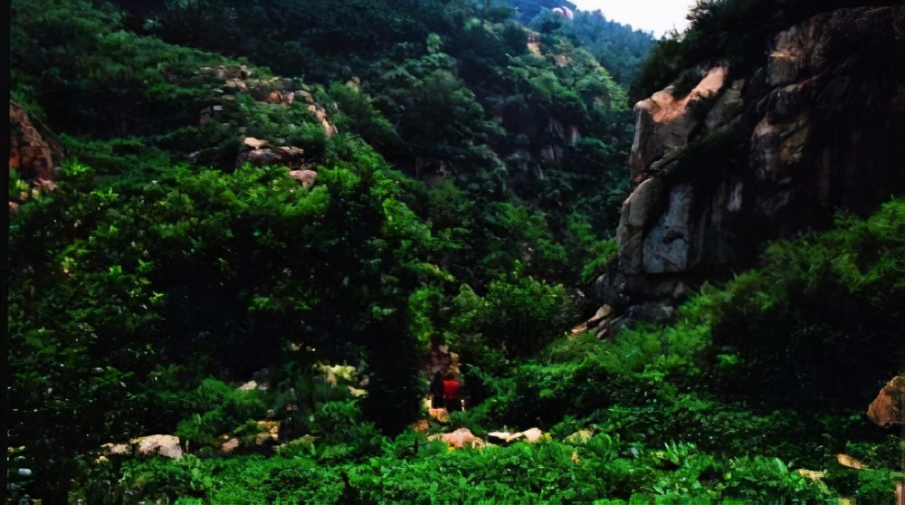 济南市a级景区一览表,山东济南5a景区