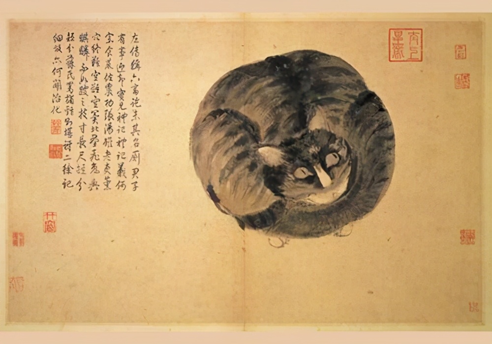 养宠物的人内心都是孤独的吗,养宠物真的可以缓解孤独吗