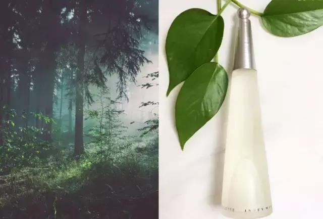 告诉你用哪款香水,喜欢大海的朋友