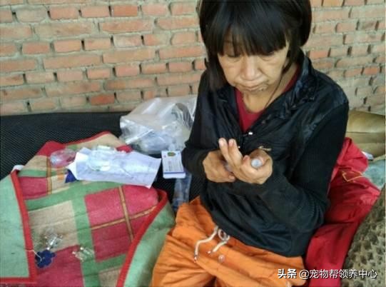 救了一只快要饿死的流浪狗,饥荒一大群猎狗来了怎么办