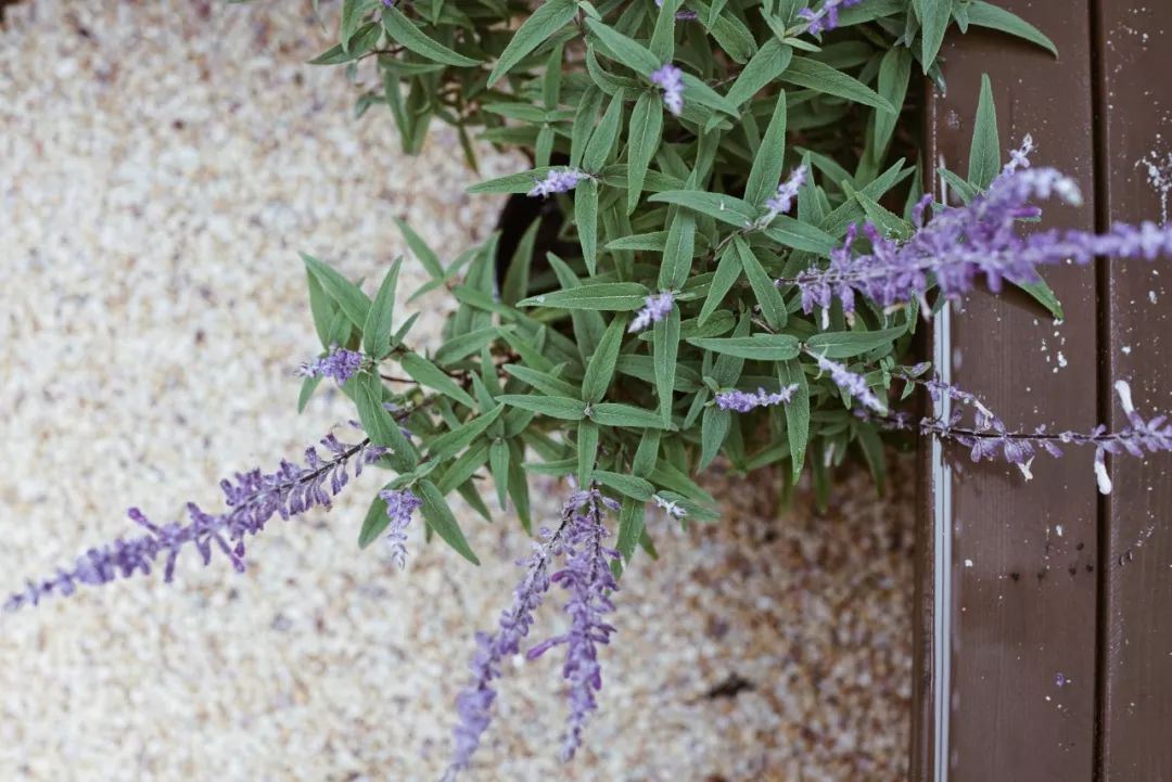 2024年上海二手学区房,上海二手学区房