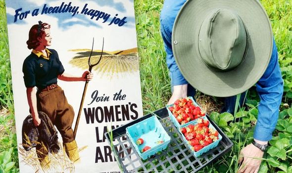 英国遭遇果蔬短缺,英国果蔬市场