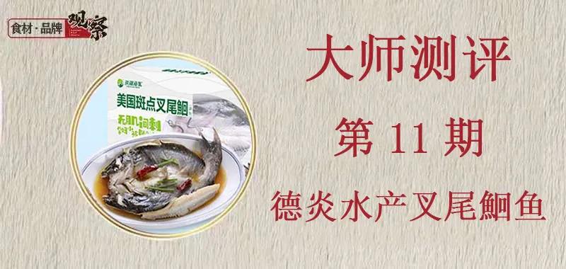 开片叉尾鮰鱼,叉尾鮰鱼科普