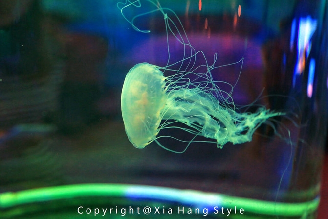 横店梦幻谷水世界有奥特曼,横店梦幻谷水世界摩天轮