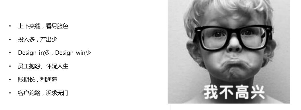 正能量大数据峰会,2021元器件分销大数据峰会