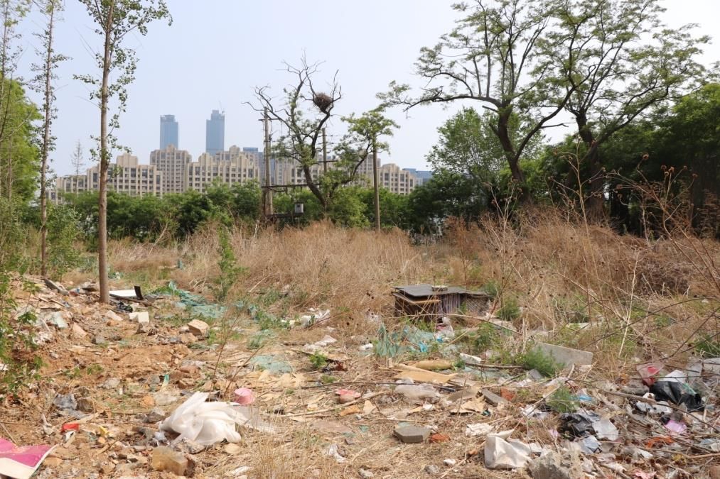 大连梭鱼湾足球场最新消息,大连足球场有几个