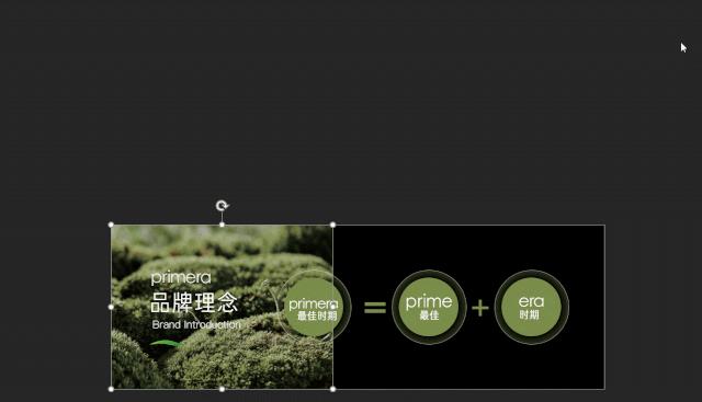 不会ppt模板怎么办,不会拍图片怎么办